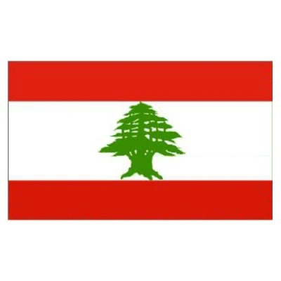Image of Novelties Direct Lebanon/Lebanese Flag 5ft x 3ft (100% Polyester) With Eyelets For Hanging