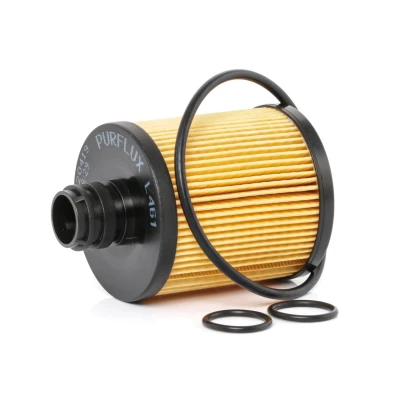 Image of 71754237, 71754675, 71754721 Oil Filter PURFLUX L461 Insert FIAT: Doblo II Box Body / Estate, Ducato III Platform Chassis, 500X