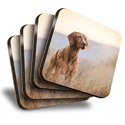 Image of Destination Vinyl ltd Great Coasters (Set of 4) Square Hungarian Pointer Vizsla Dog Drink Glossy Coasters/Tabletop Protection for Any Table Type #12566