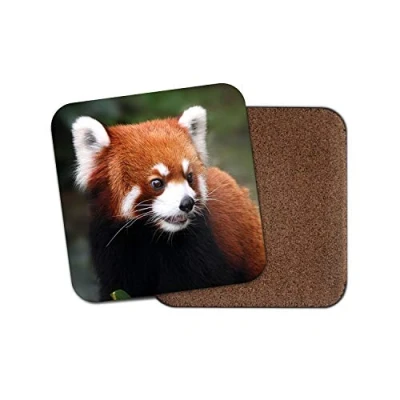 Image of 1 x Endangered Red Panda Bear Coaster Animal Cute Wild Mum Auntie #14159