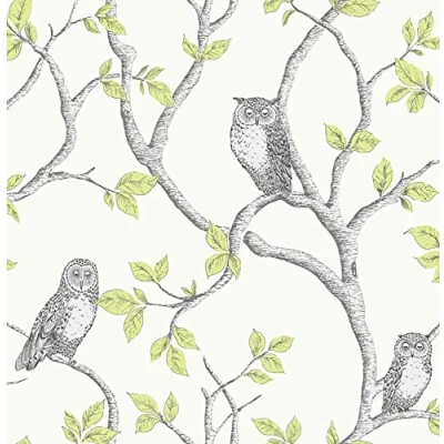 Image of Fine Decor FD40637 Green 10m Woodland Owls Wallpaper
