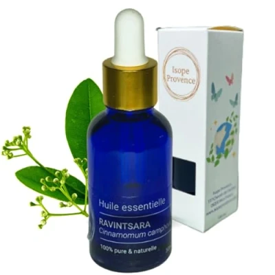 Image of Ravintsara Essential Oil 30 ml (Chemotyated Cinnamomum Camphora), 100% Pure and Natural
