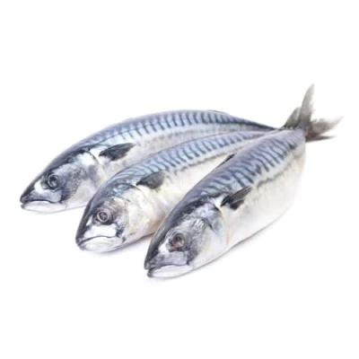 Image of Mackerel Box 10kg