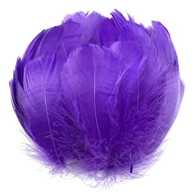 Image of JINLL Natural Goose Feathers Clothing Accessories Pack of 100,Purple