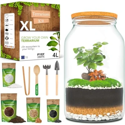 Image of DIY Terrarium Kit XL PYEF CRAFTS 4L Glass Starter for Self Sustaining Ecosystem Large Jar Plants Make your Own No (Kit with 4L)