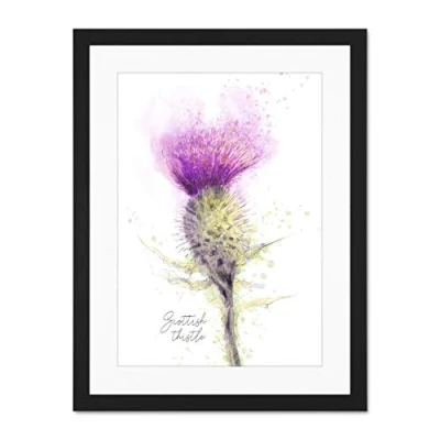 Image of Wee Blue Coo Scottish Thistle Flower Head Watercolour Scotland Large Art Print Poster Wall Decor 18x24 inch Supplied Ready To Hang With Included Mount Brackets