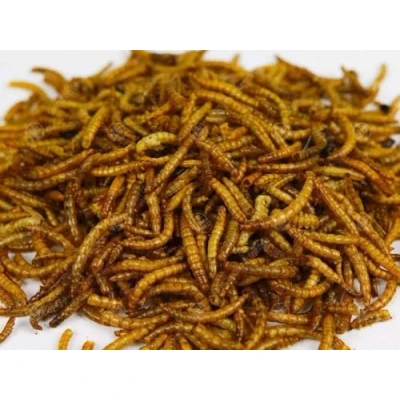 Image of 12.55Kg Bulk Bag Premium Dried Mealworms Wild Bird Food For Garden Birds
