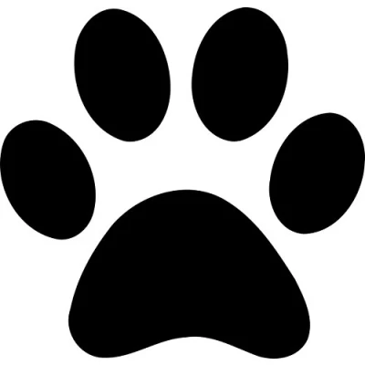 Image of wrapp it up 10 x Dog Paws Black Car Van Decal Sticker Vinyl