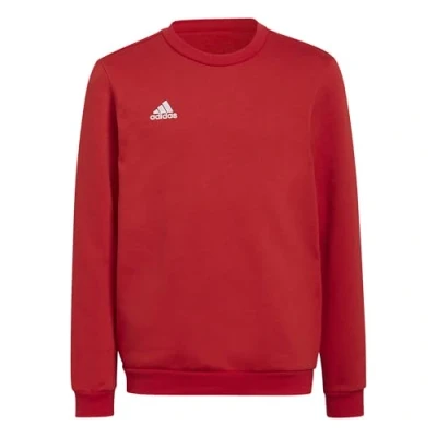 Image of adidas Performance Entrada Sweatshirt for kids, Size: 5 6y, Team power red