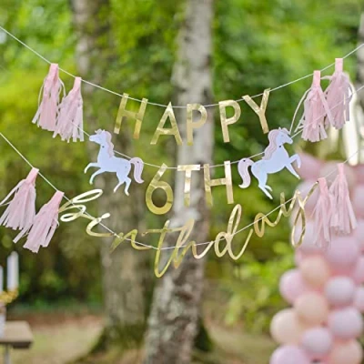 Image of Ginger Ray Eco Friendly Customisable Princess Happy Birthday Party Bunting Decoration