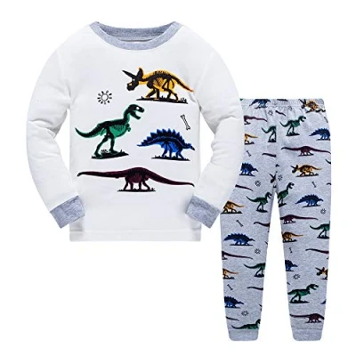 Image of Little Boys Pajamas for Pyjamas Kids Dinosaur Nightwear Sleepwear Long Sleeve Pjs Set , Dinosaur2, 2 3 Years