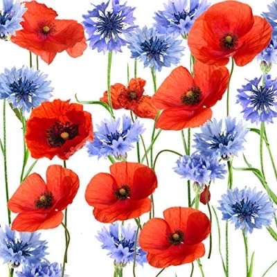 Image of Tischdeko Pack of 20 napkins poppies flower meadow summer