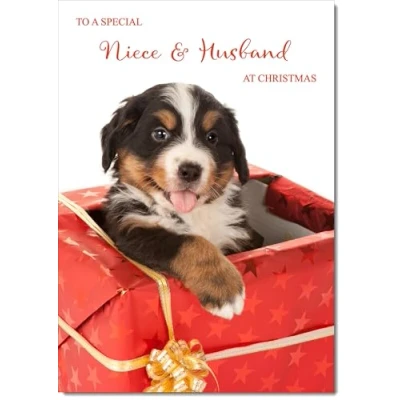 Image of doodlecards Niece and Husband Christmas Card Dog in Parcel Medium Size for &amp; with Plain Envelope