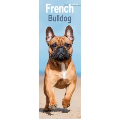 Image of French Bulldog Slim Calendar 2026