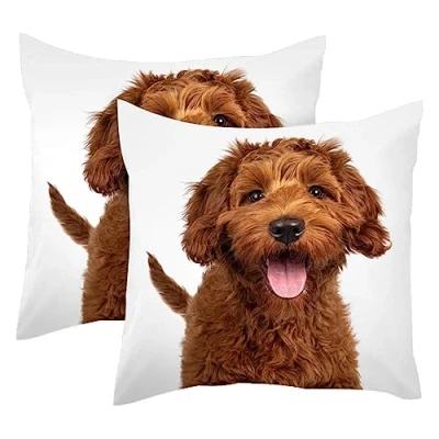 Image of Cute Red Labradoodle Puppy 2 Pack Square Throw Pillow Covers Decorative Soft Velvet Pillowcase for Couch Sofa Bed Car Living Room, 40x40cm