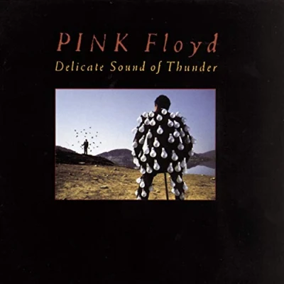 Image of Delicate Sound Of Thunder 3LP [VINYL]
