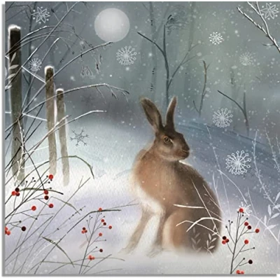 Image of Charity Christmas Cards (ALCX0370) Magical Hare Pack of 8 Sold in Aid Multiple Sclerosis Trust