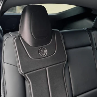Image of Prince Lionheart Tesla Car Seat Protector 2 Stage Seatsaver Designed for Models S, 3, X &amp; Y Waterproof Kids Black