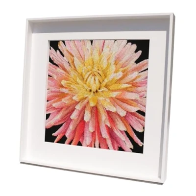Image of Thea Gouverneur Counted Cross Stitch Kit Dahlia Aida Black 18 Count Embroidery for Adults DMC Threads and Other Supplies Included 441.05