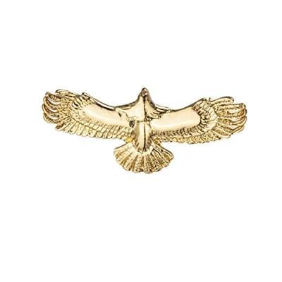 Image of MAYIYAHO Retro Animal Eagle Wings Brooch Metal Birds Badge Collar Pins Fashion Suit Shirt Lapel Pin Jewelry for Men Accessories