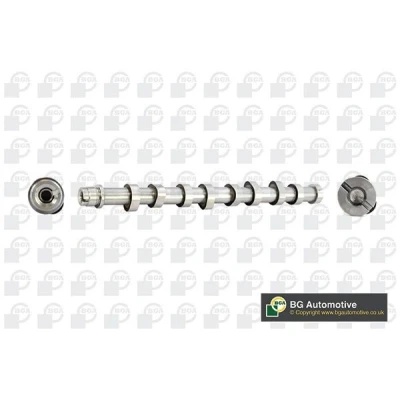 Image of 0801AL, 0801CX, 0801CY Camshaft BGA CS4573 Exhaust Side, Intake Side CITROËN: Xsara Hatchback, PEUGEOT: 206 Hatchback