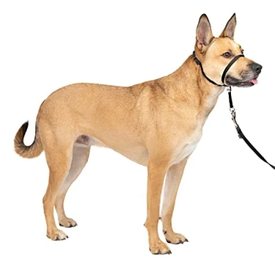 Image of PetSafe Easy Walk Headcollar, No pull Dog Walking Lead, Adjustable Fit, Comfortable, Large Black