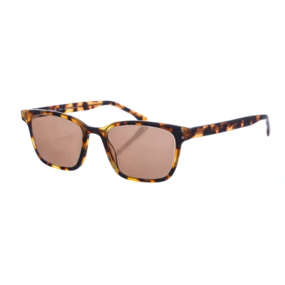 Image of Zen Z475 WoMens square shaped acetate sunglasses Multicolour One Size