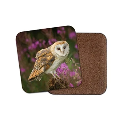 Image of 1 x Pretty Barn Owl Coaster Bird Prey British Wildlife Flowers Animals #15813