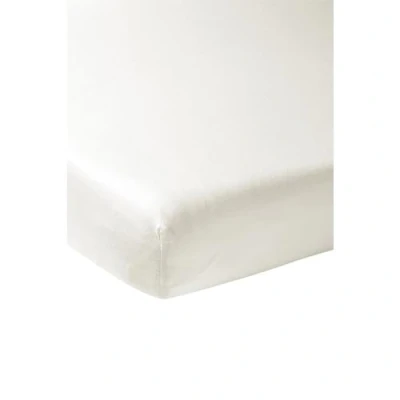 Image of Meyco Home Basic Jersey Plain Fitted Sheet Double Bed (Flat with Soft Quality, 100% Cotton, thanks to Elasticated Edging, Dimensions: 160 x 200 cm), Warm White