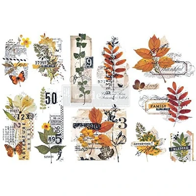 Image of Redesign with Small Transfers Foliage Collector 3 Sheets,6&quot;x12&quot; 655350655426