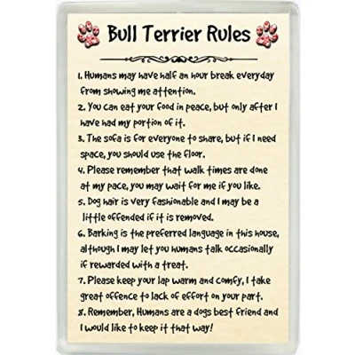 Image of Bull Terrier Rules Humour Jumbo Fridge Magnet Ideal Dog Lover Birthday Gift M127