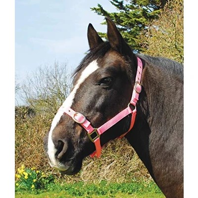 Image of Rhinegold Nylon Headcollar Cob Pink