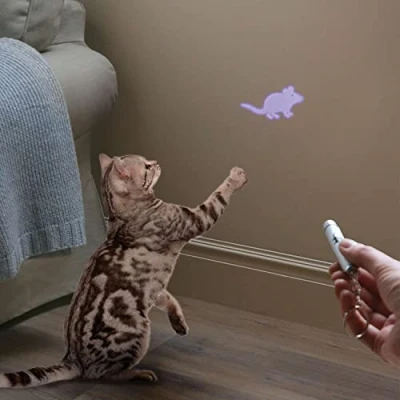 Image of Coopers of Stortford Play Torch for Cats
