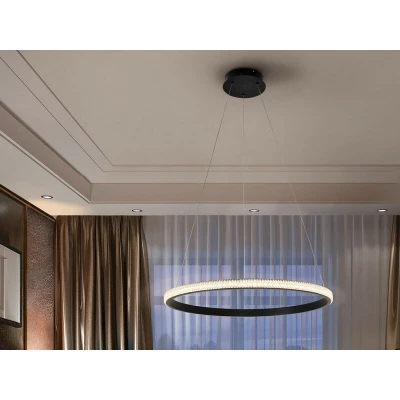 Image of Ring Integrated LED Pendant Light, Sandblasted Black