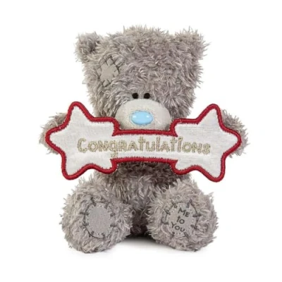 Image of Me to You Tatty Teddy Plush 10cm High Congratulations Bear Official Collection