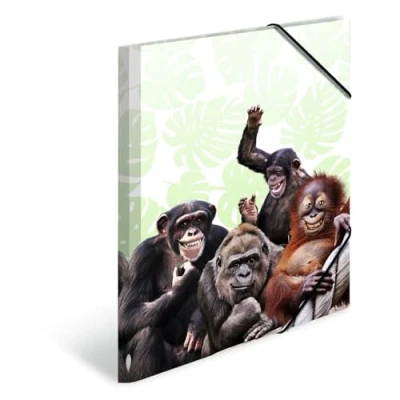 Image of HERMA Collector&#039;s Folders A3 Monkey Set, 3 Pieces, Children&#039;s Plastic Corner Folder with Animal Motif, Elastic Band, Inner Flaps and Print for Boys Girls