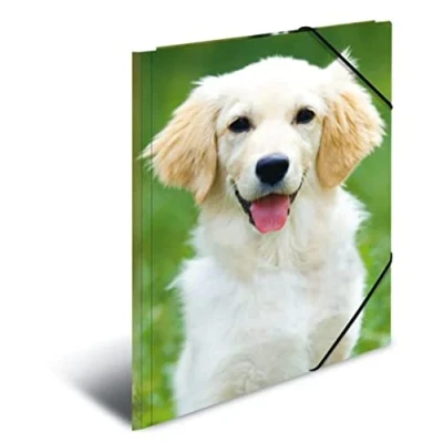 Image of HERMA Elastic Folder Animals with Dogs Motif, A3, Sturdy Plastic, Inner Print, 1 Span