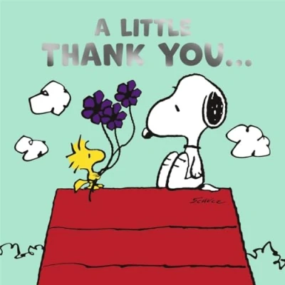 Image of Cards Hallmark Peanuts Snoopy Thank You A Little You...
