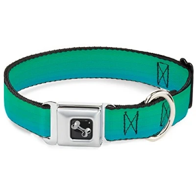 Image of Buckle Down Seatbelt Dog Collar Teal Ombre 1&quot; Wide Fits 11 17&quot; Neck Medium