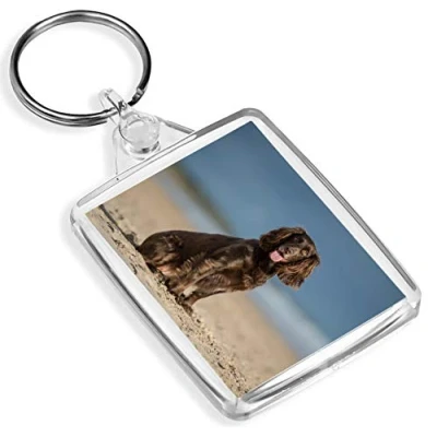 Image of Cocker Spaniel Keyring Puppy Gun Dog Beach Working #12508