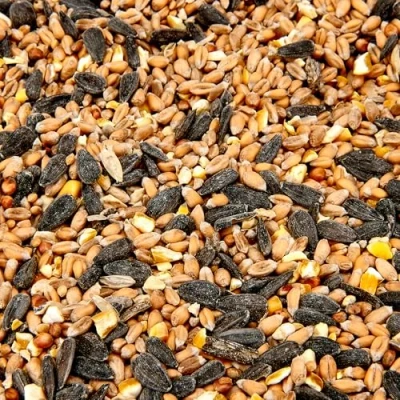 Image of Wild Bird Food (2kg, Mix)