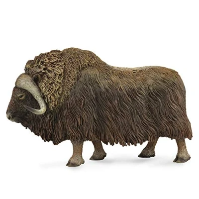 Image of CollectA Wild animals Muskusos 13 cm