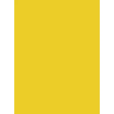 Image of Clairefontaine Ref 384516C Maildor Coloured Poster Paper (Pack of 25 Sheets ) 60 x 80cm in Size, 90gsm Suitable for Cutting, Writing &amp; Collaging Gold Yellow