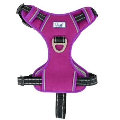 Image of Ancol Viva Exercise and Travel Dog Harness in Purple Comfortable Pet Accessory with Padded Chest 2 Leash Clips XL 80 120cm