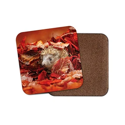 Image of 1 x Adorable Hedgehog Coaster Autumn Leaves Hog Garden Wildlife #8852