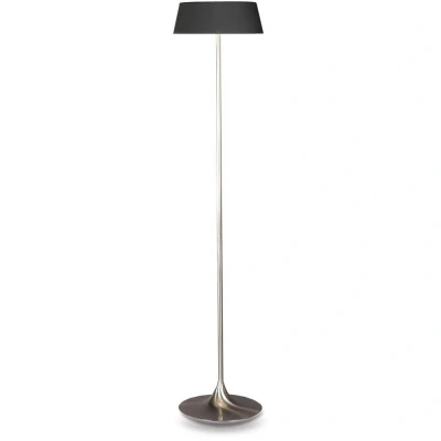 Image of Floor Lamp With Tapered Shade Satin Nickel