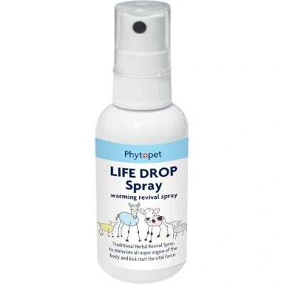 Image of PhytoPet Life Drops Spray 30ml Herbal Energizer For Large Newborn Livestock Essential When Birthing larger mammals Kick Start Failing Neonates