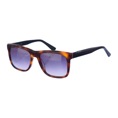 Image of Calvin Klein CK22519S Sunglasses, 236 Havana Black, 56