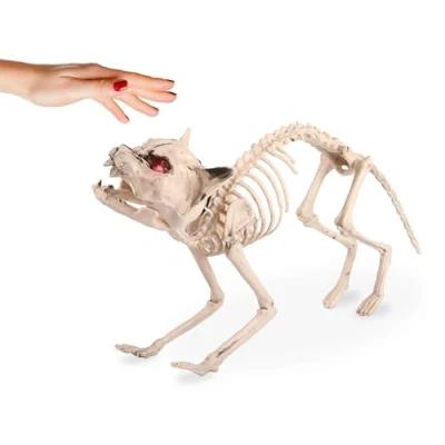 Image of Halloween Poseable Skeleton Cat Light Up Decoration Pack of 1