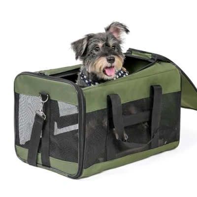 Image of HITSLAM Pet Carrier Dog Soft Sided Travel for Cats, Small dogs, Kittens or Puppies, Collapsible, Durable, Friendly Green (L)